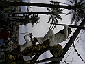 Genova _15